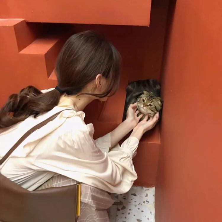 下司泰弘 - 猪蜜蜜电视剧大全在线观看11 - 小程序观影